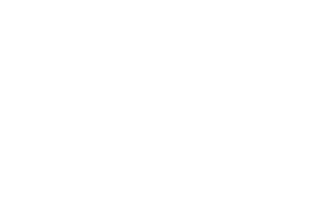 Panora Concepts logo